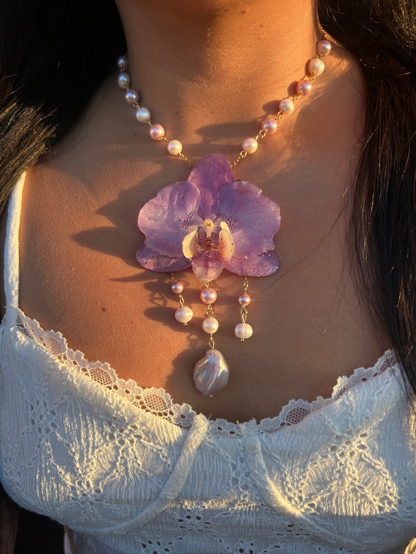 Dulce lila Orchid