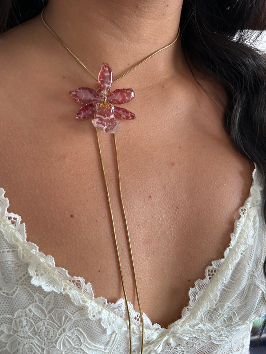 Exotic orchid red