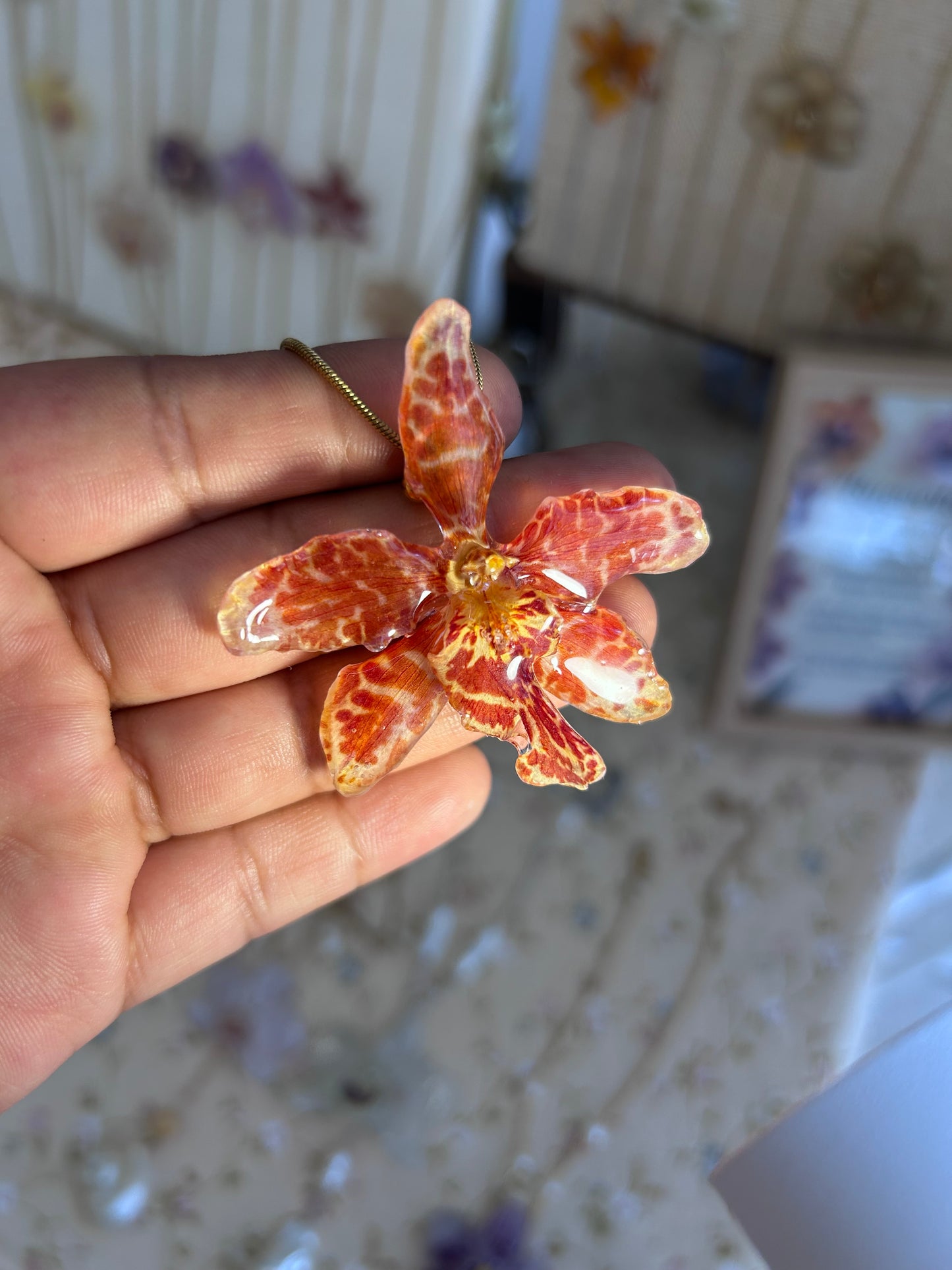 Exotic wild Orange Orchid