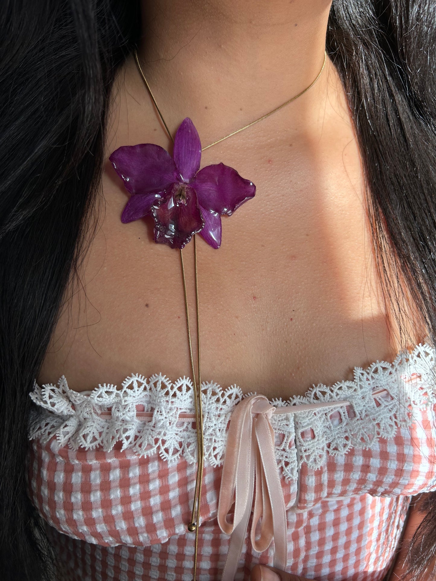Orchid Cattleya purple
