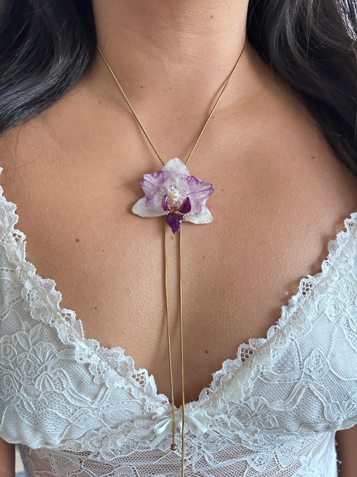 Phalaenopsis mini bicolor