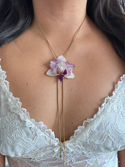 Phalaenopsis mini bicolor