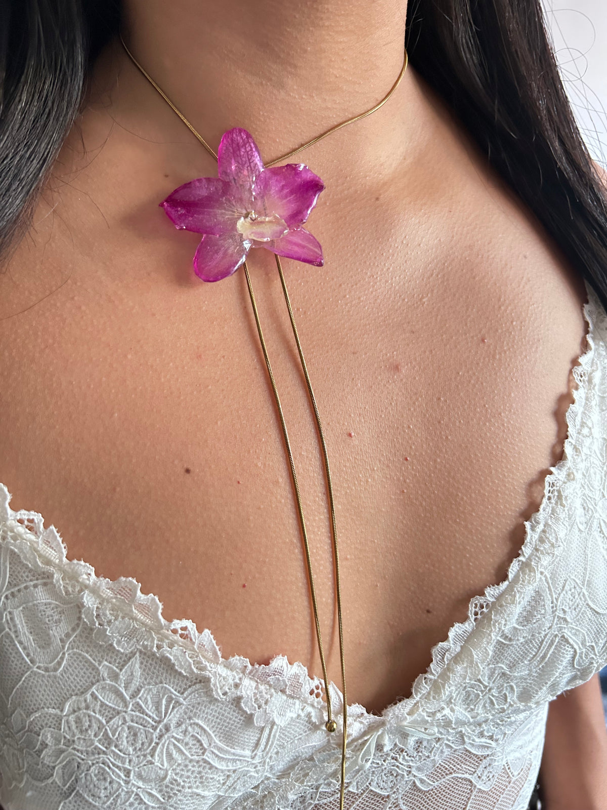 Orchid dendrobium nobile