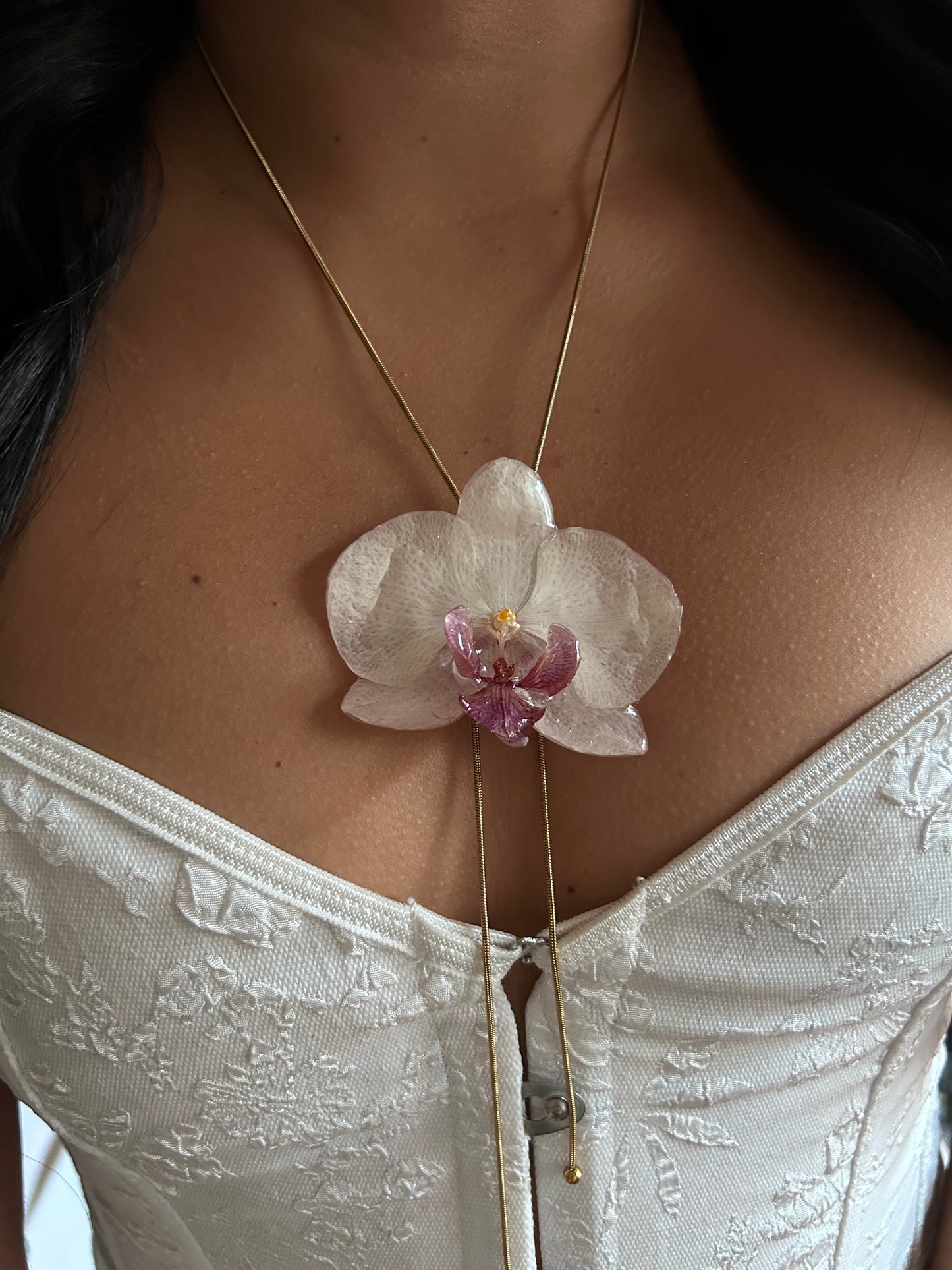 Gran Phalaenopsis white