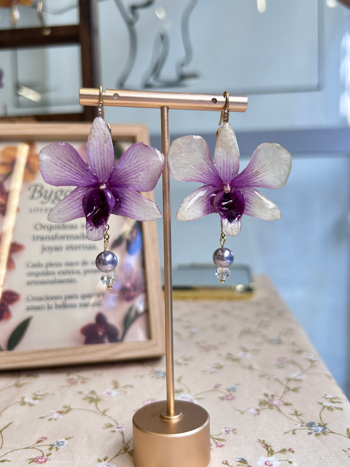 Pendientes dendrobium x phalaenopsis
