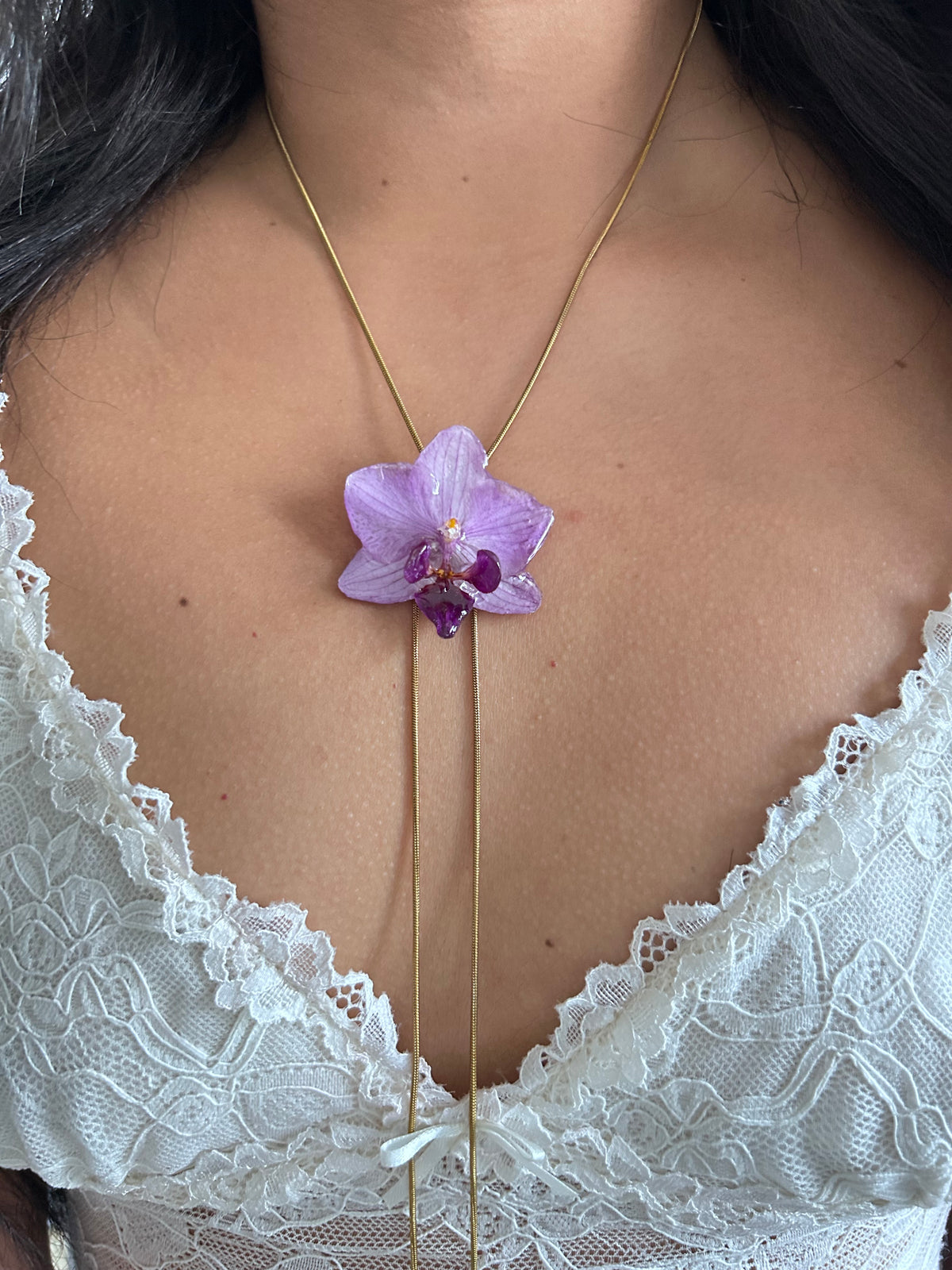Phalaenopsis mini