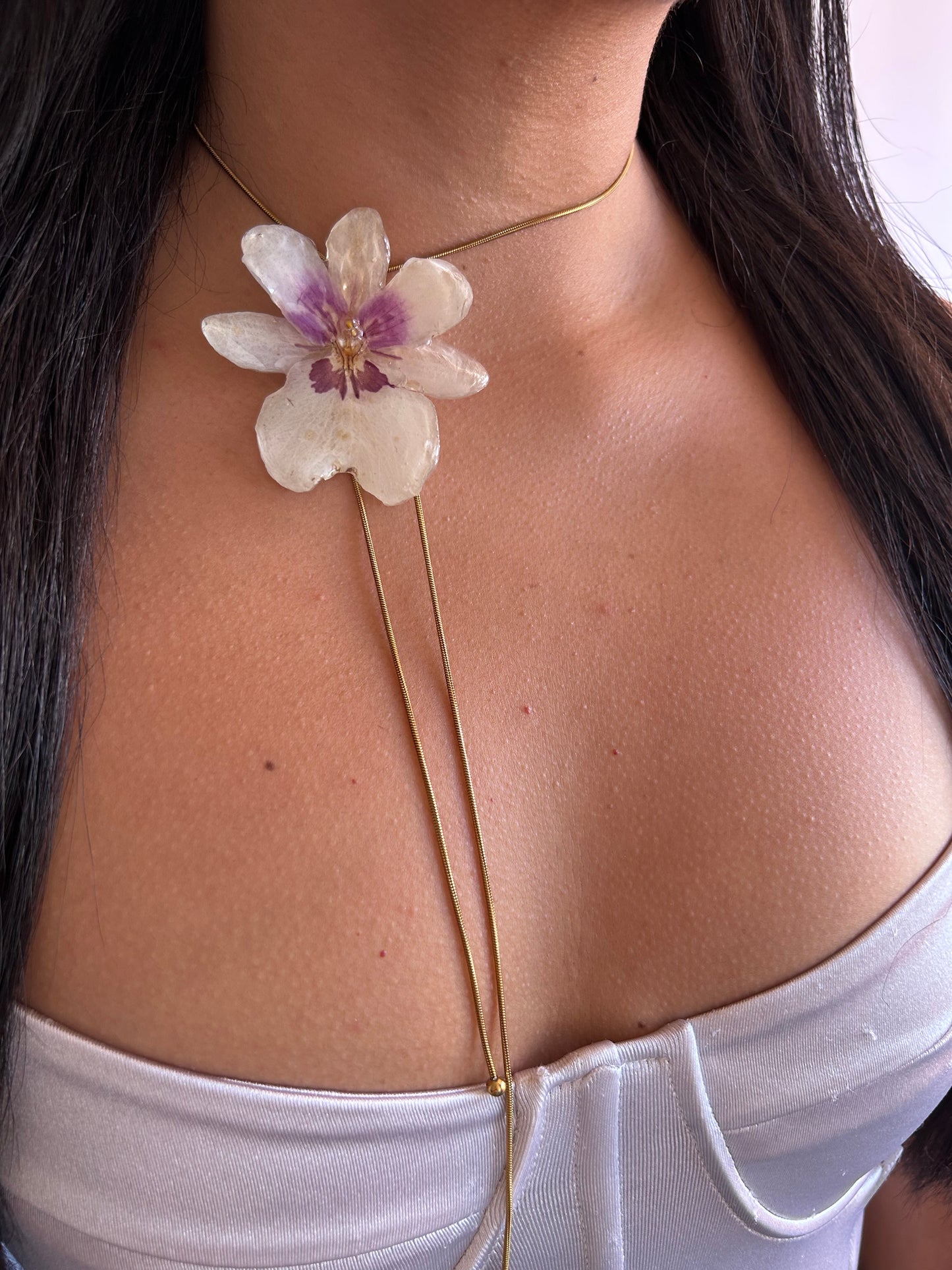 Orchid Miltionopsis white