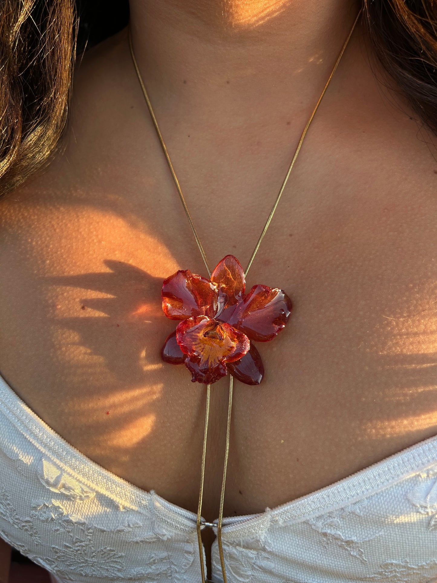 Mini Cattleya wild red