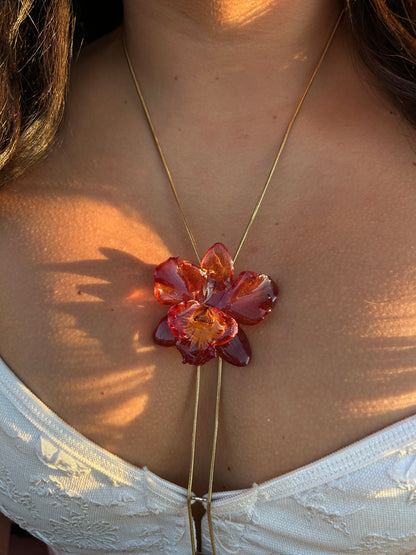 Mini Cattleya wild red