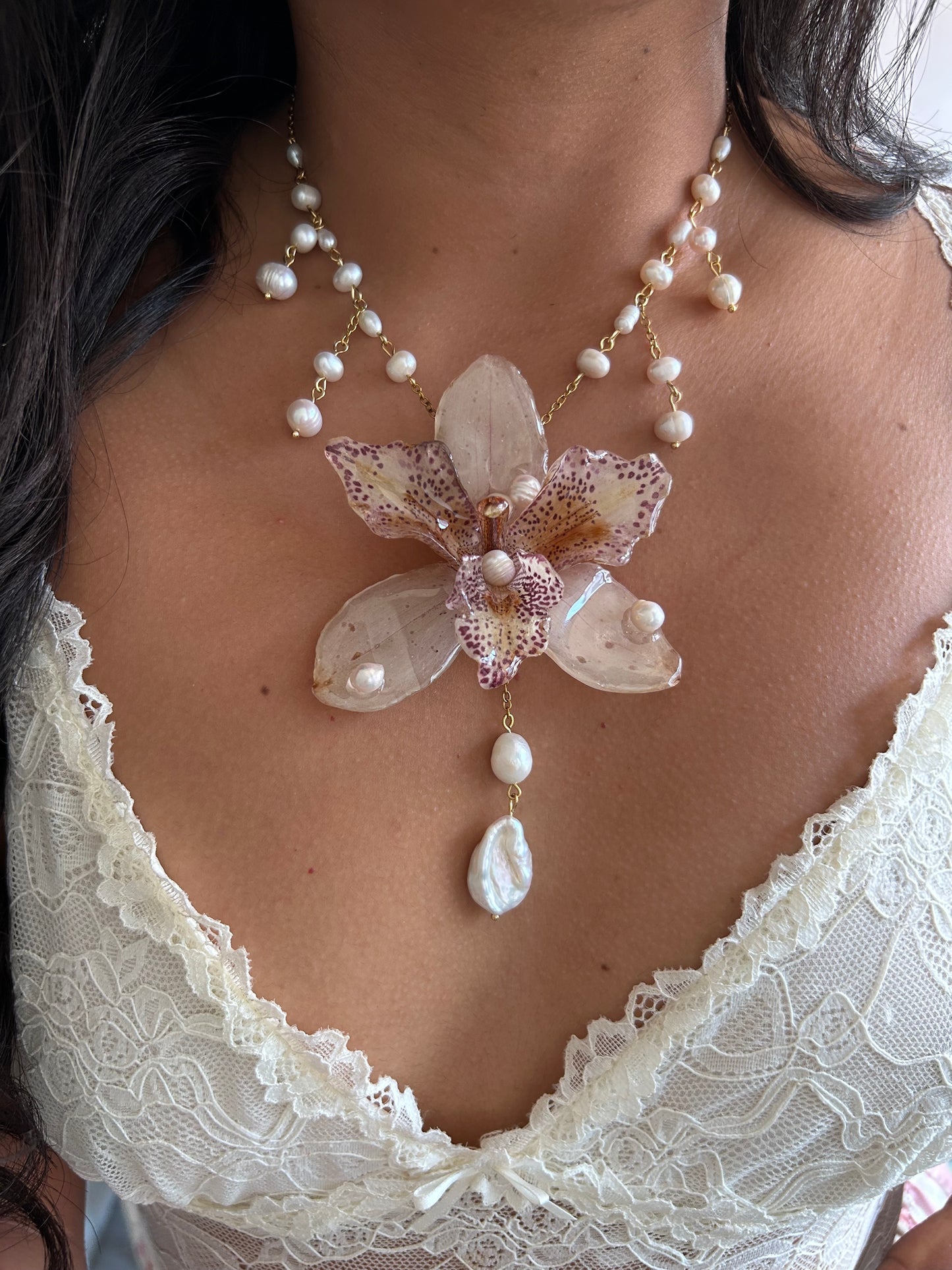 Orchid Chloe✨