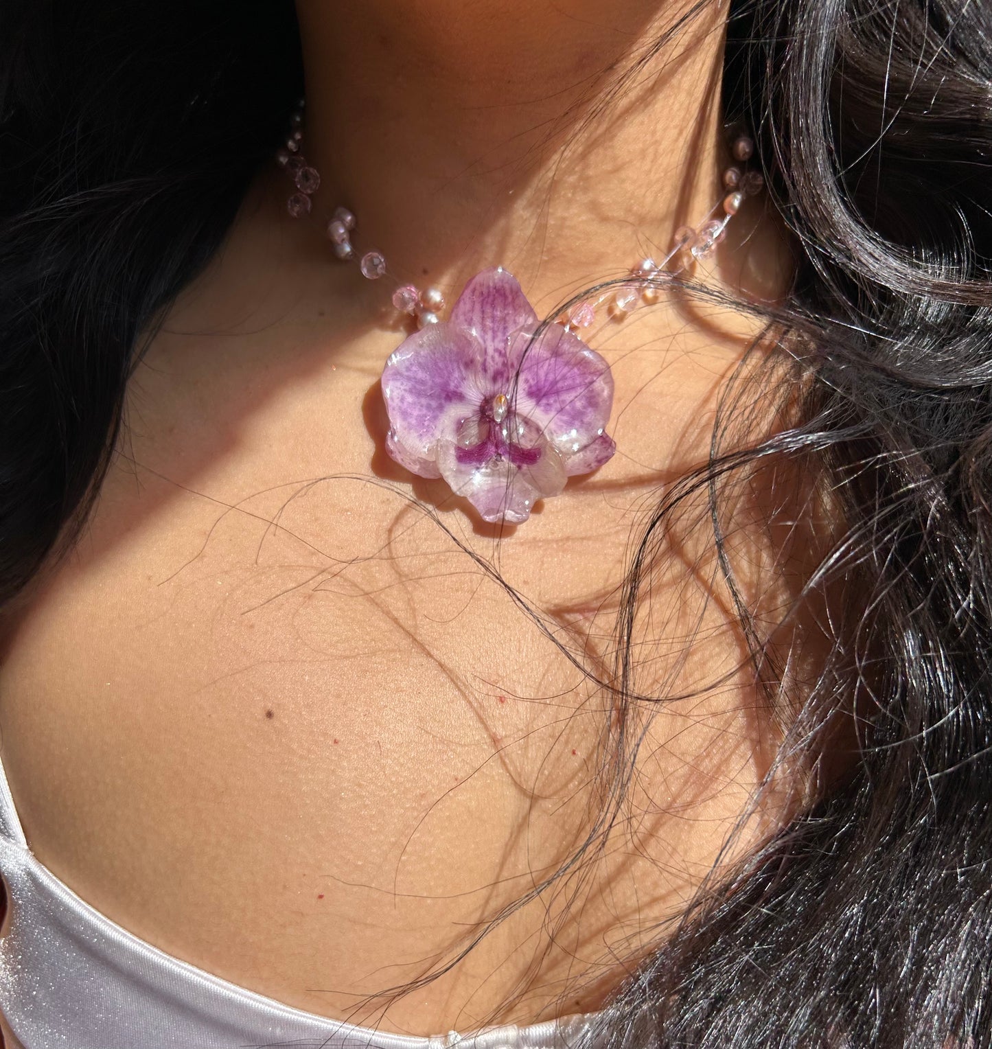 Lilac orchid glow