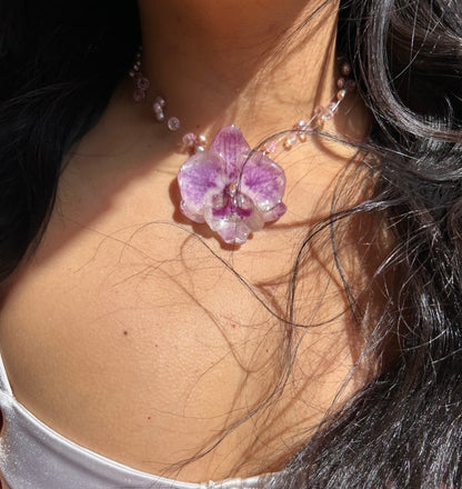 Lilac orchid glow
