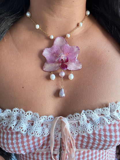 Tropical Orchid