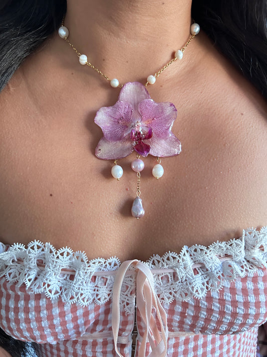 Tropical Orchid