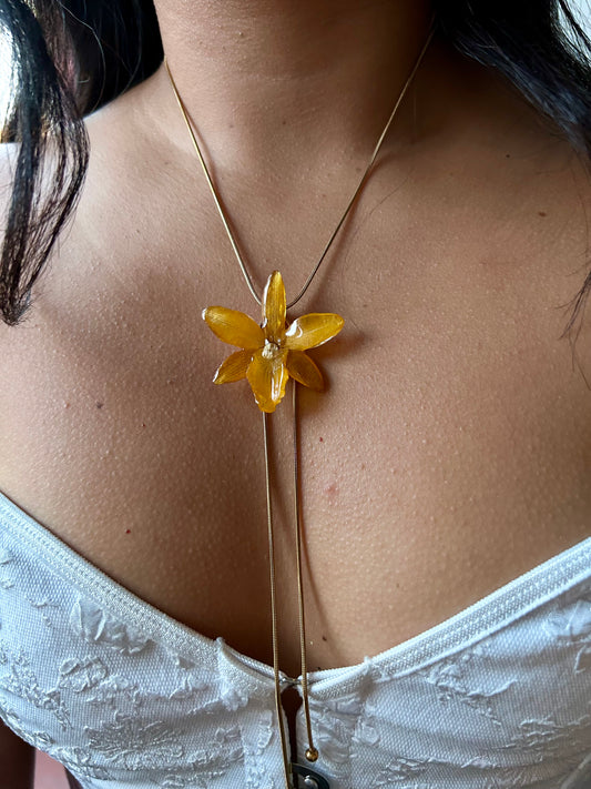 Mini Cattleya