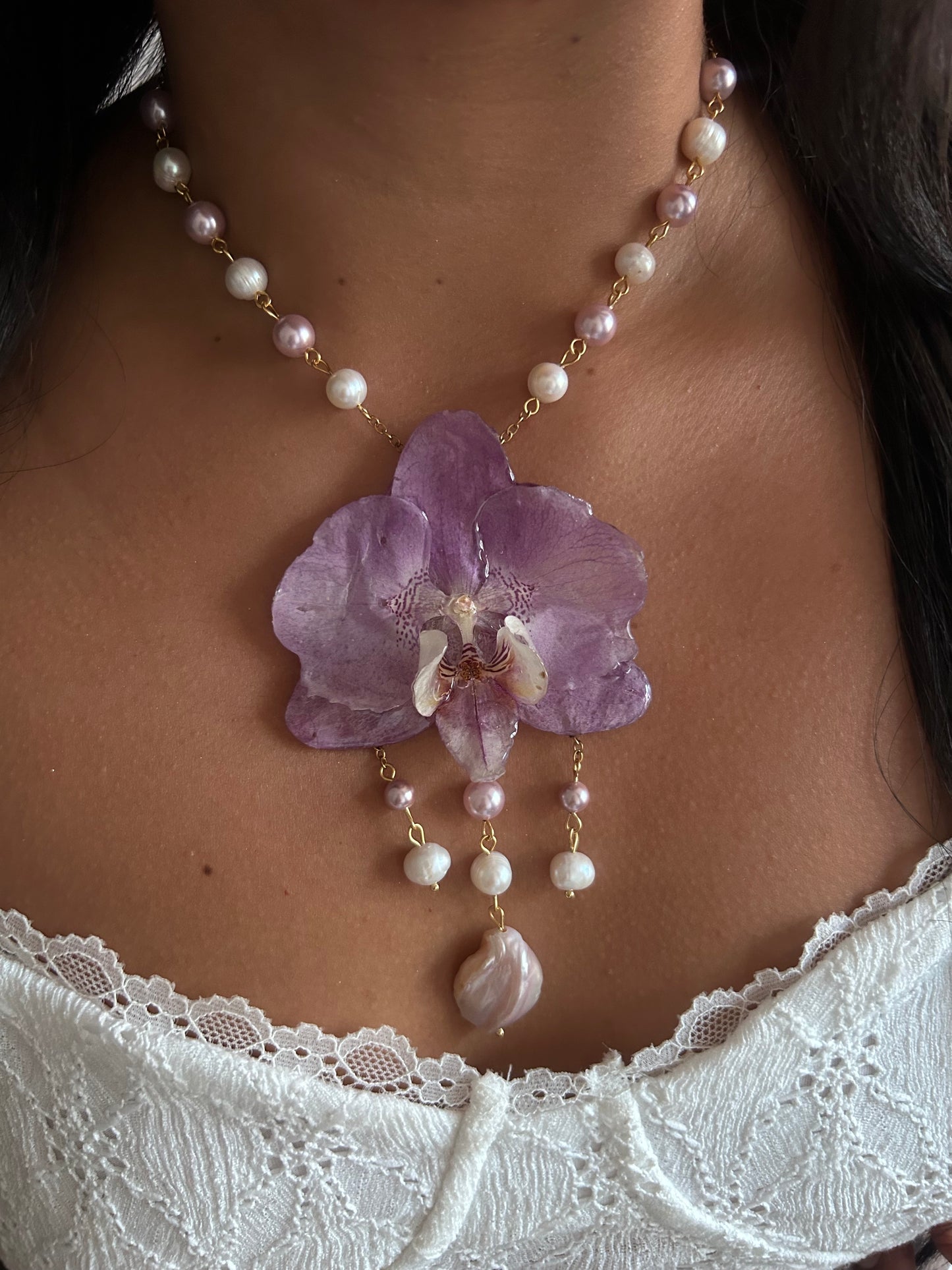 Dulce lila Orchid