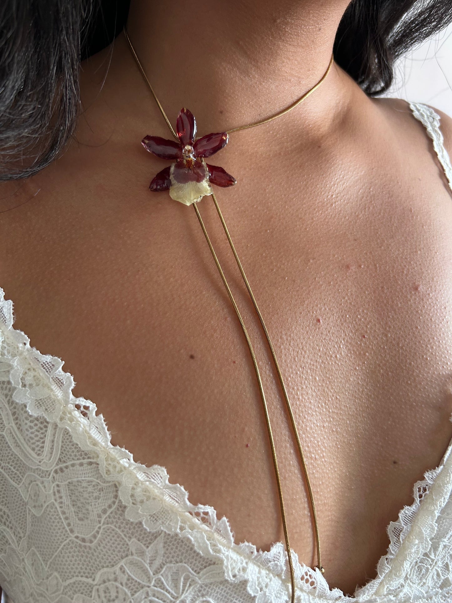 Orchid mini Brown