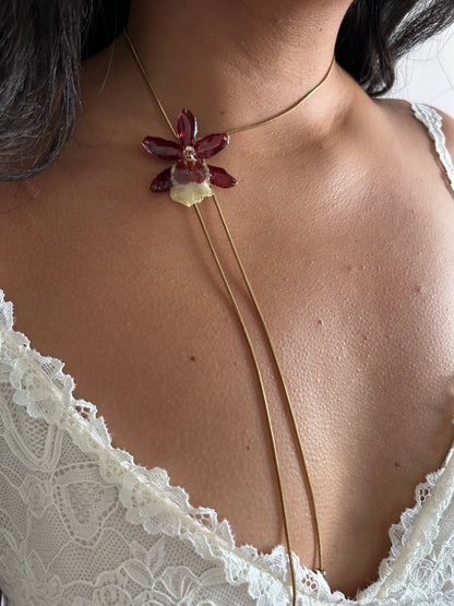 Orchid mini Brown