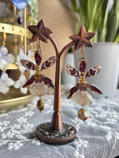 Pendientes exotic orchid Brown