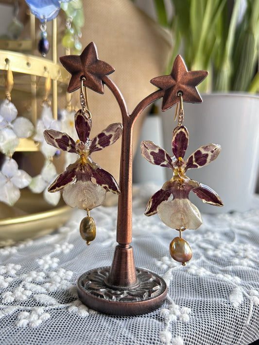Pendientes exotic orchid Brown