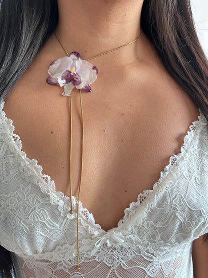 Orchid bicolor