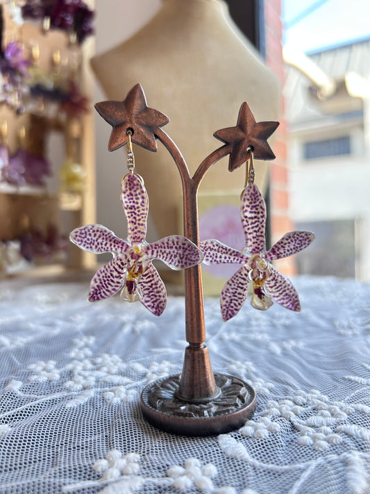 Pendientes Phalaenopsis híbridas