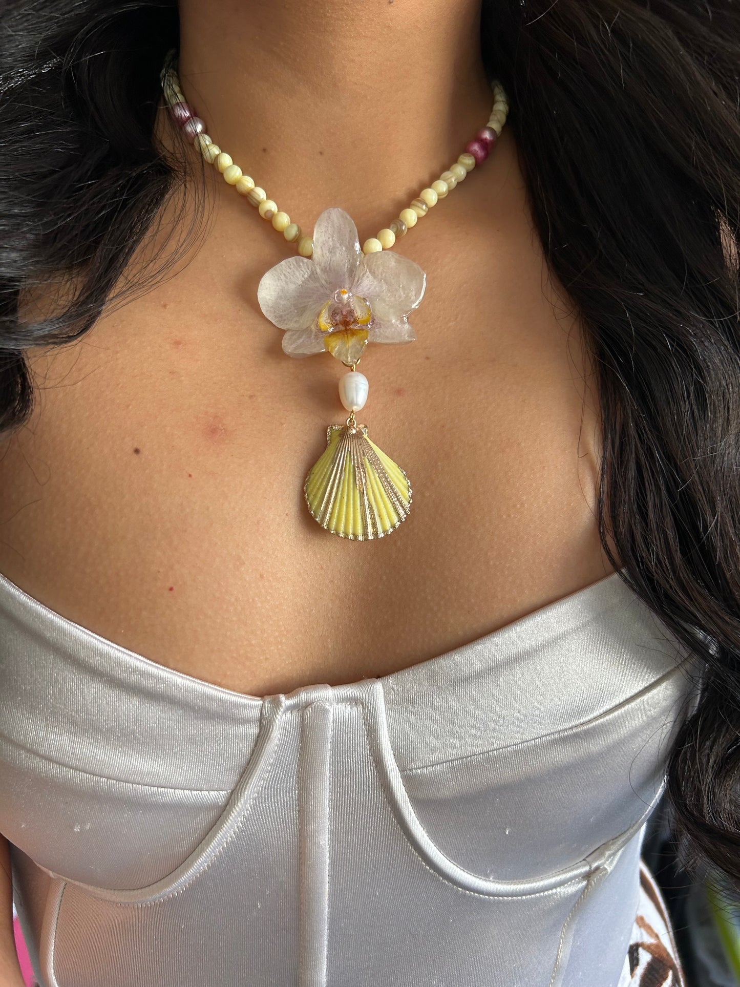 Tropical white orchid