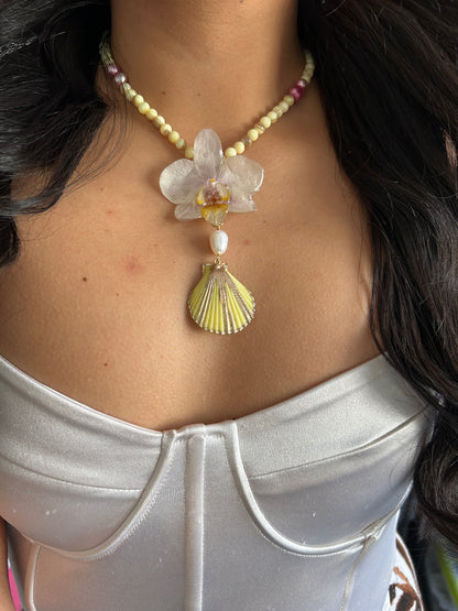 Tropical white orchid