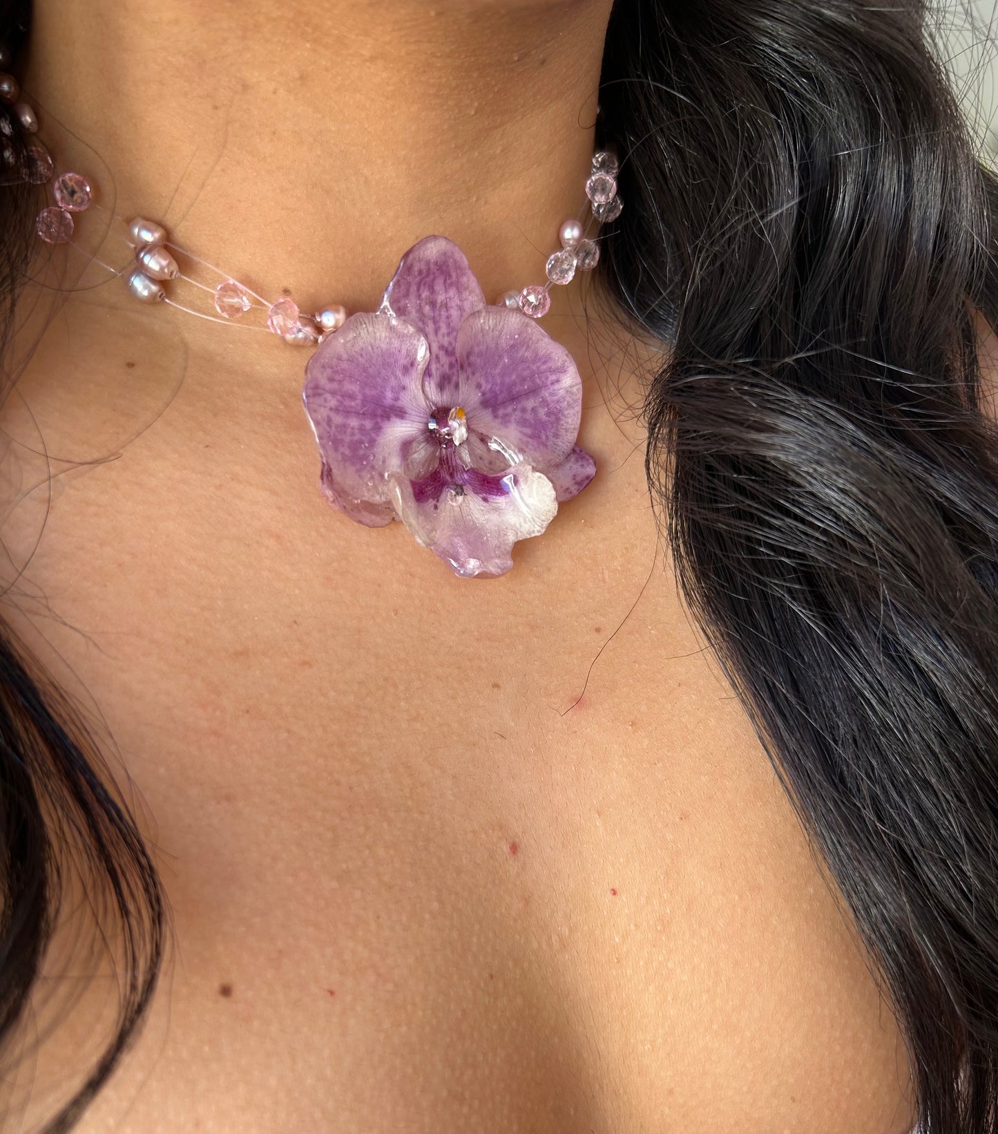 Lilac orchid glow