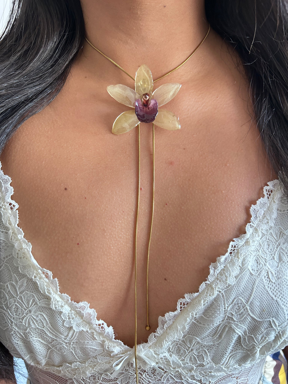 Cymbidium Jaina