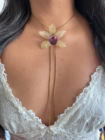 Cymbidium Jaina