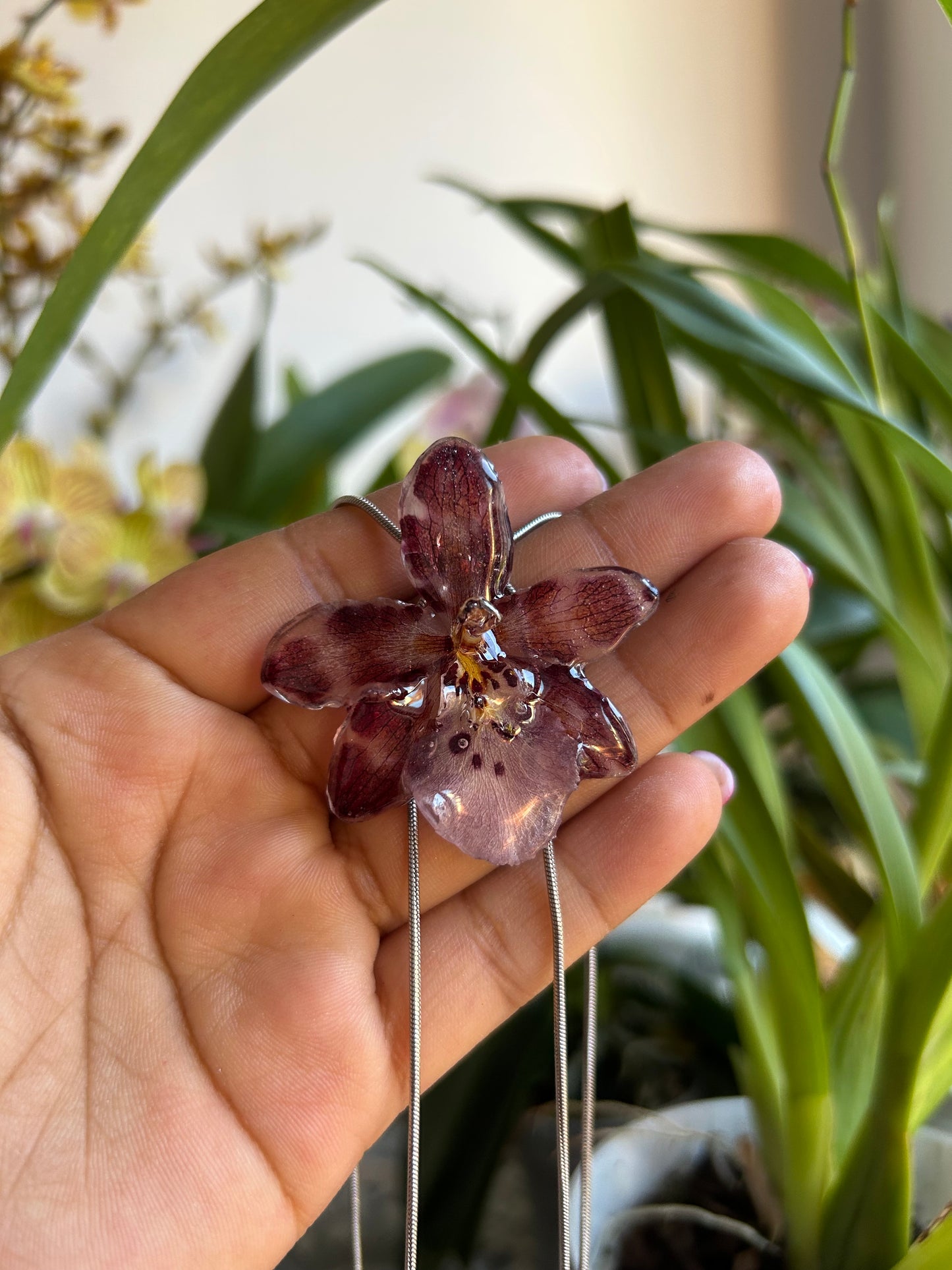 Exotic orchid