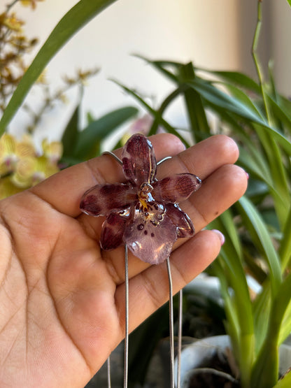 Exotic orchid