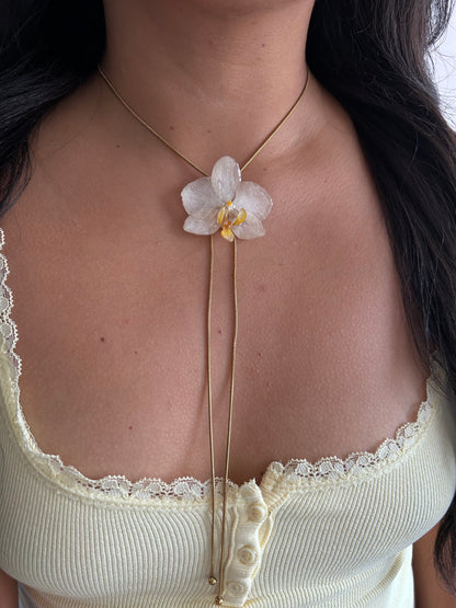 Orchid mini white