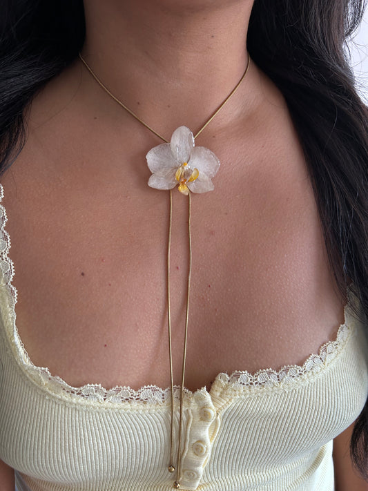 Orchid mini white