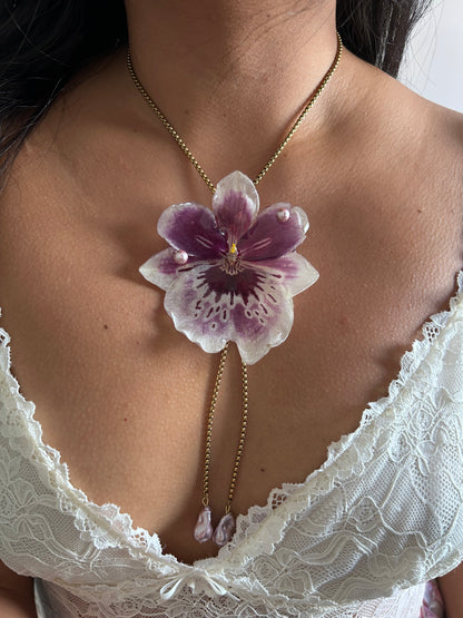 Gran Miltonia corbatín
