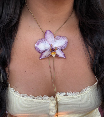 Grand Orchid