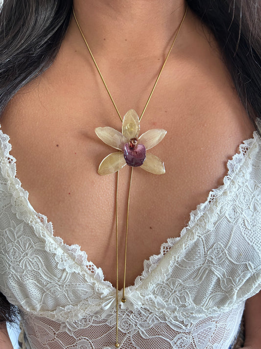 Cymbidium Jaina