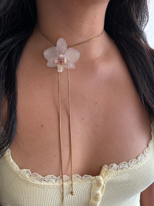 Orchid mini white