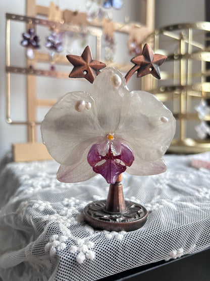 Hair clip Phalaenopsis white