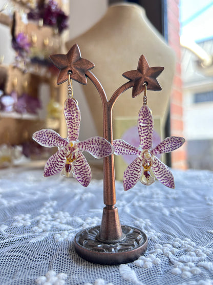 Pendientes Phalaenopsis híbridas