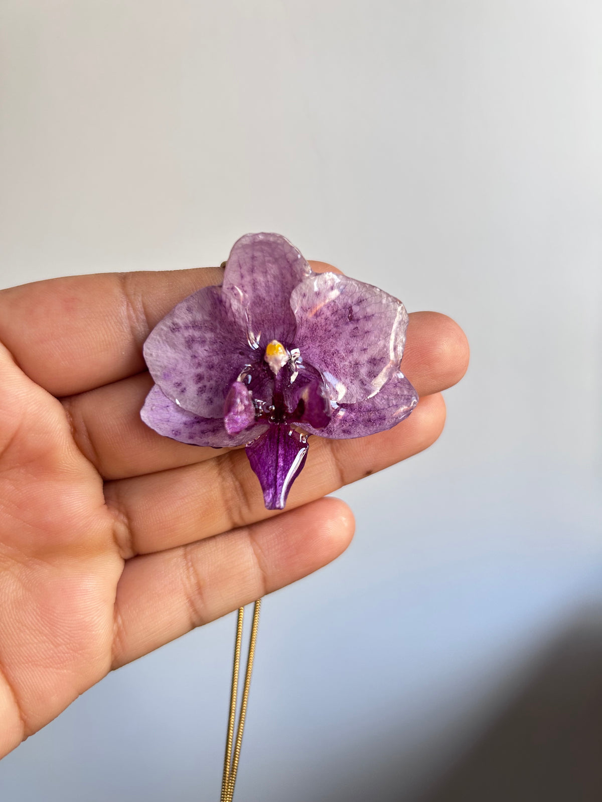 Orchid mini purple