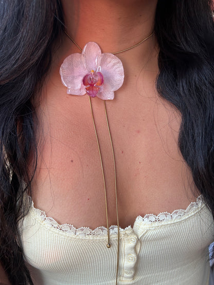 Grand Orchid White