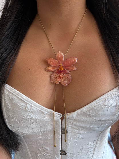 Nelly isler orange