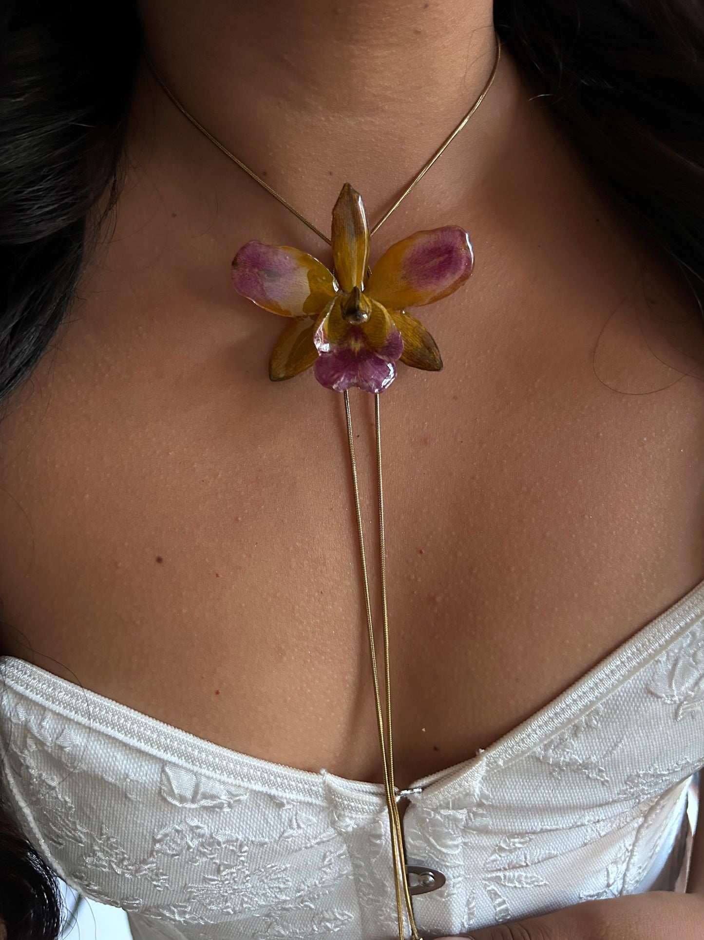 Cattleya