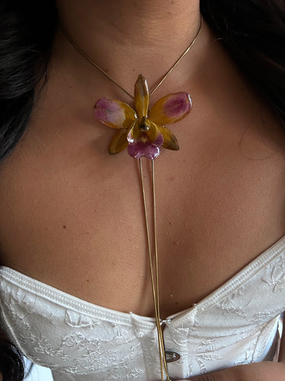 Cattleya