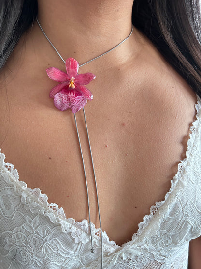 Nelly isler pink