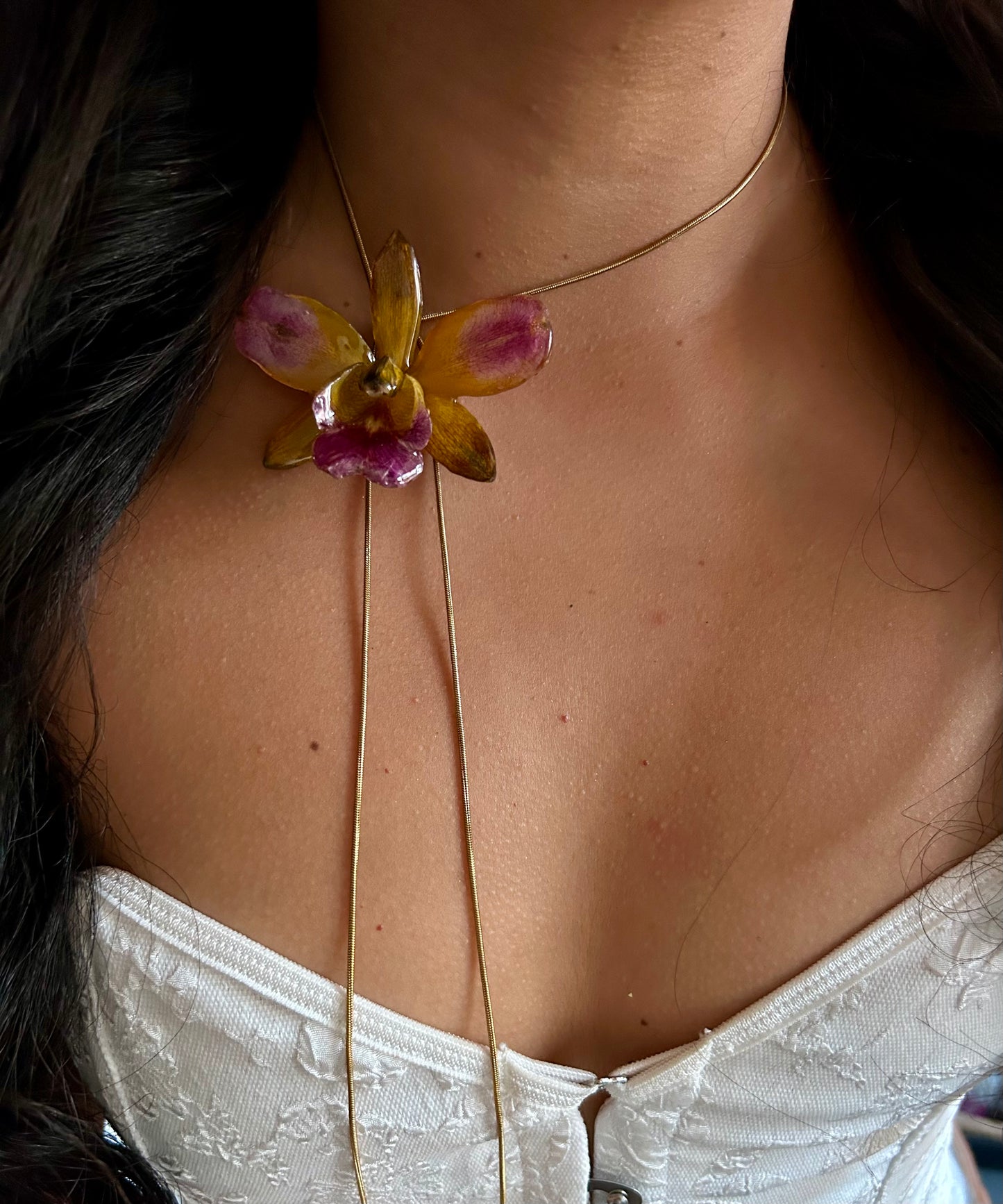 Cattleya