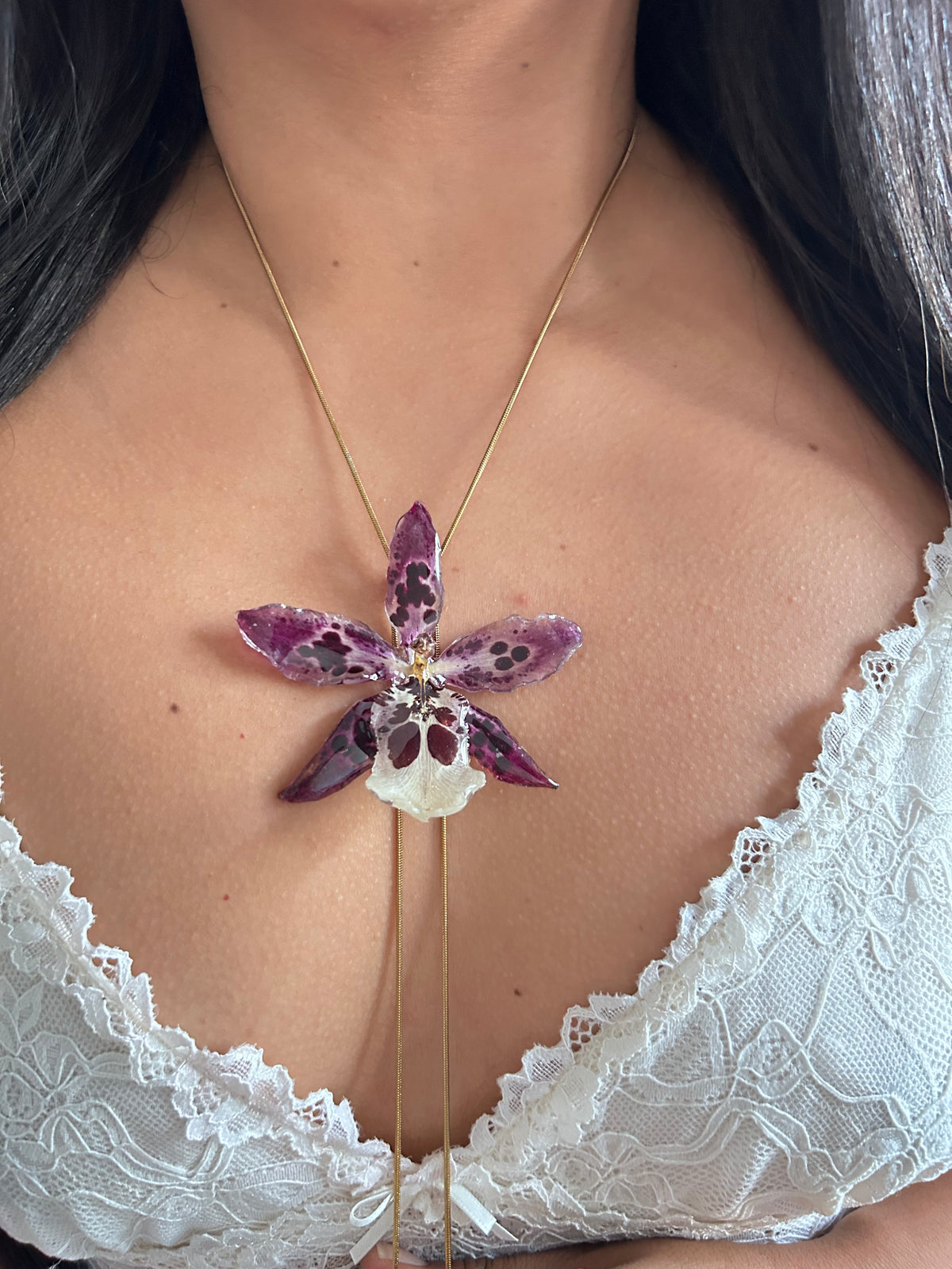 Exotic orchid