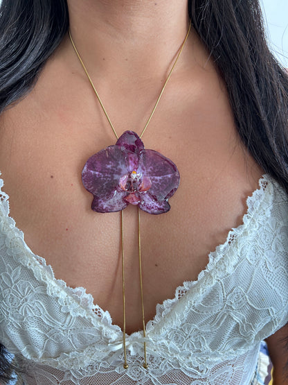 Grand Orchid purple